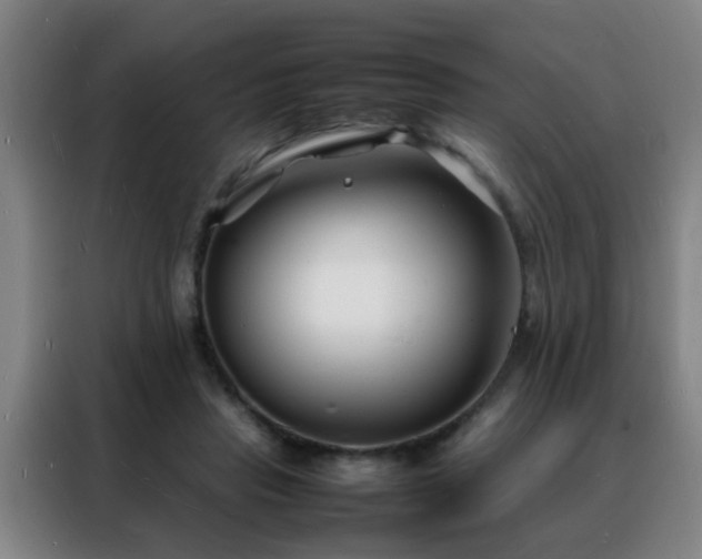 X0000088130453200705211119