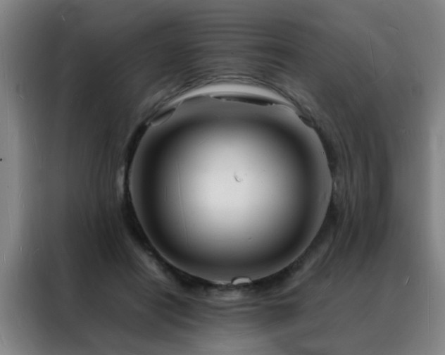 X0000088130454200705211119