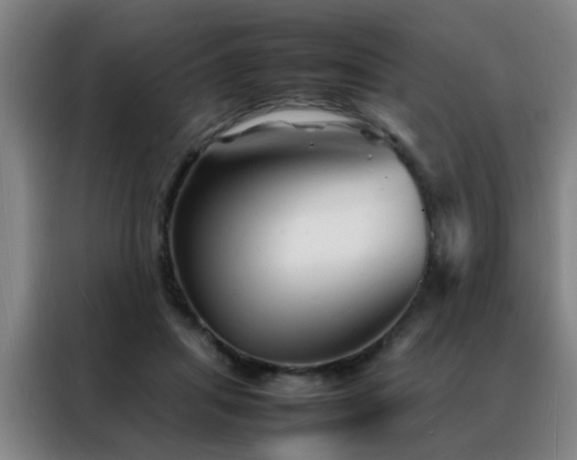 X0000088130455200705211119