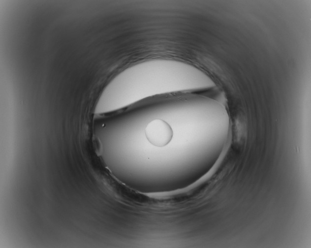 X0000088130456200705211119