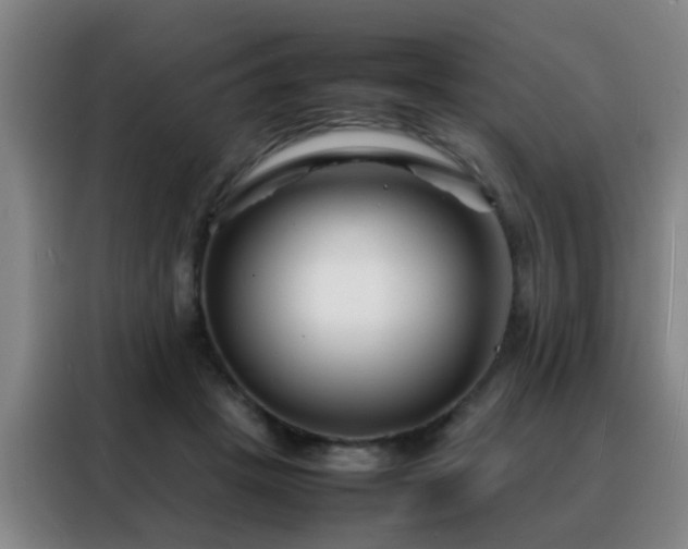 X0000088130457200705211119