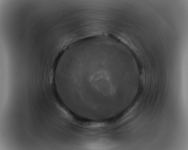 X0000088130458200705211119