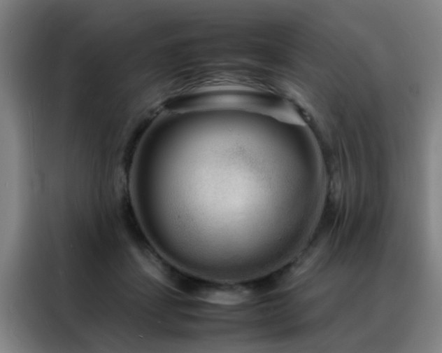 X0000088130459200705211119