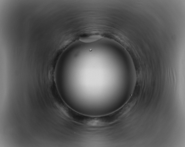 X0000088130460200705211119