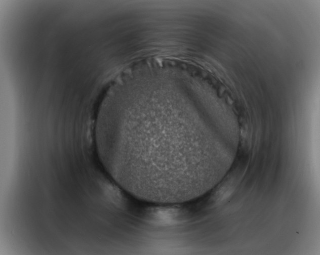 X0000088130462200705211119