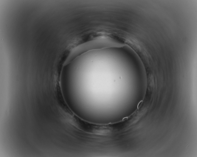 X0000088130463200705211119