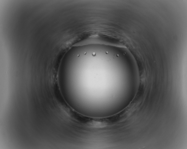 X0000088130464200705211119