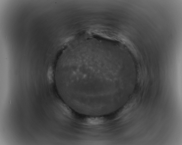 X0000088130465200705211119