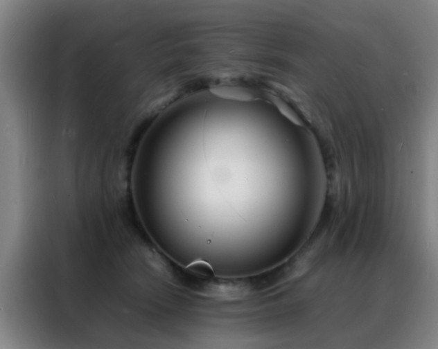 X0000088130466200705211119