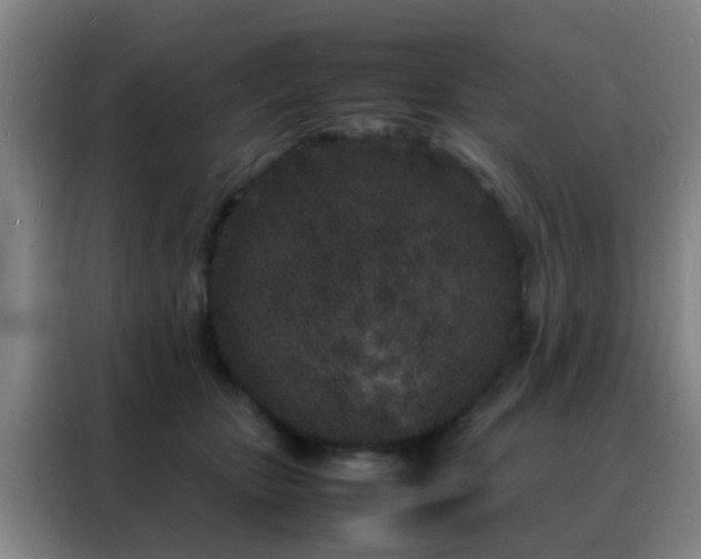 X0000088130467200705211119