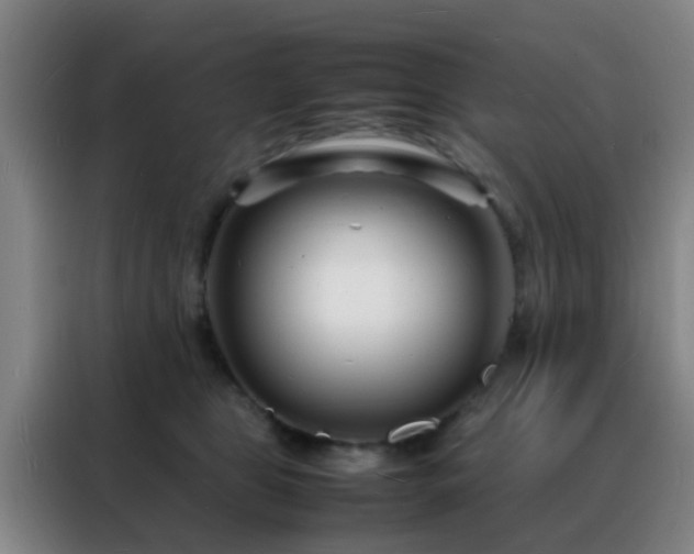 X0000088130469200705211119