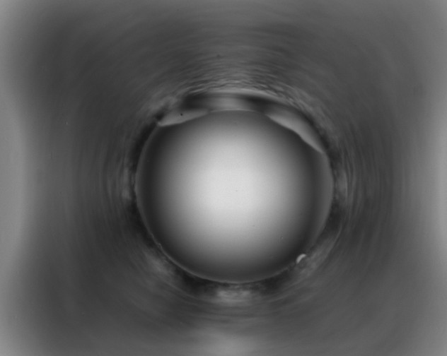 X0000088130470200705211119