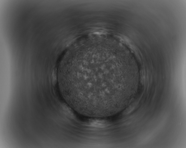 X0000088130471200705211119