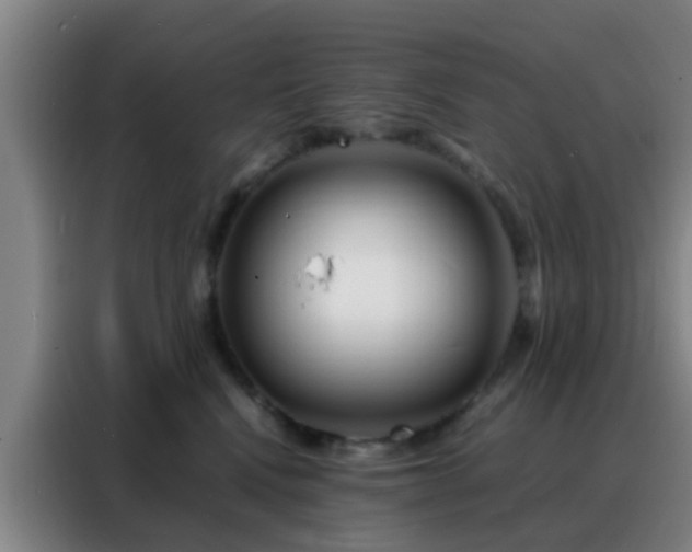 X0000088130472200705211119