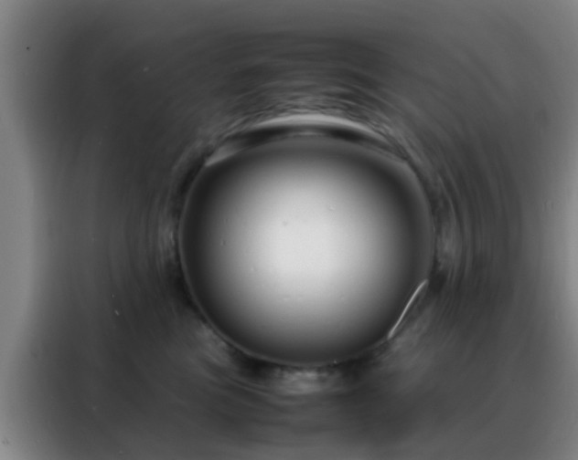 X0000088130473200705211119