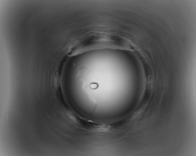 X0000088130474200705211119