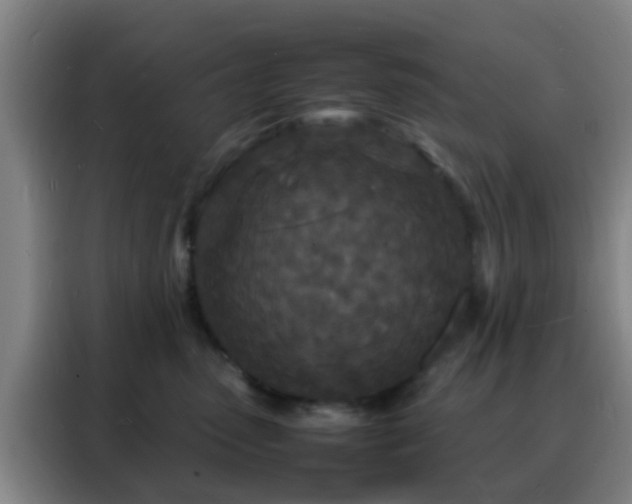 X0000088130475200705211119