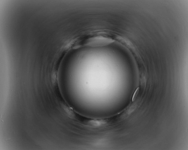 X0000088130477200705211119