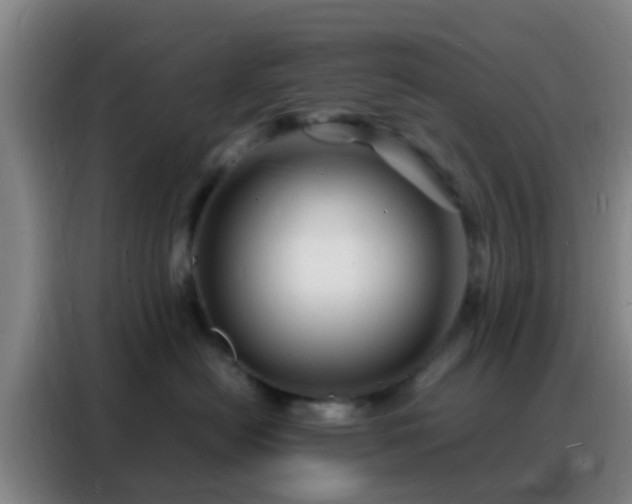 X0000088130478200705211119