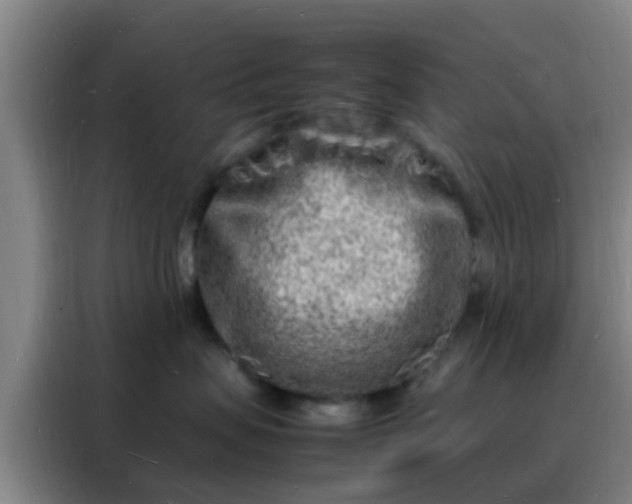 X0000088130479200705211119