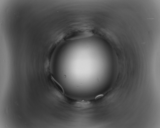 X0000088130480200705211119