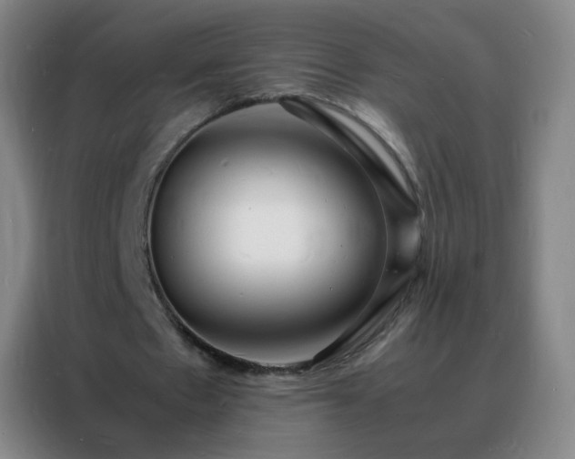 X0000088130481200705211119