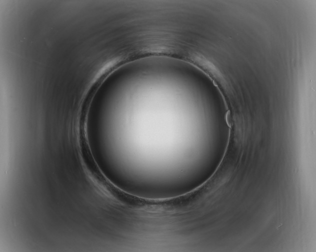 X0000088130482200705211119