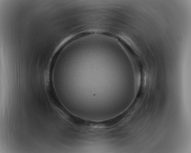 X0000088130484200705211119