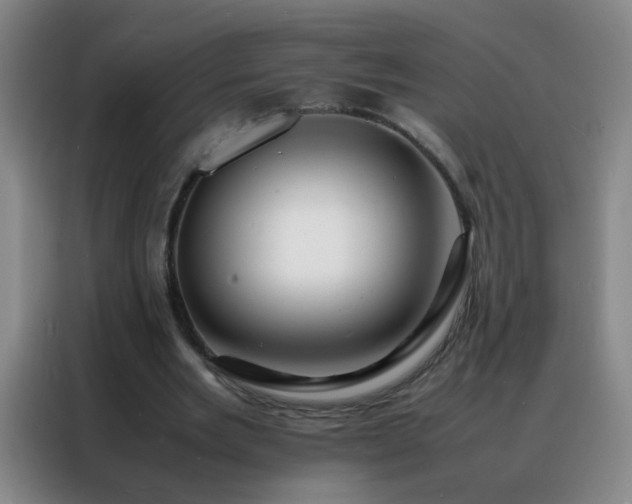 X0000088130485200705211119