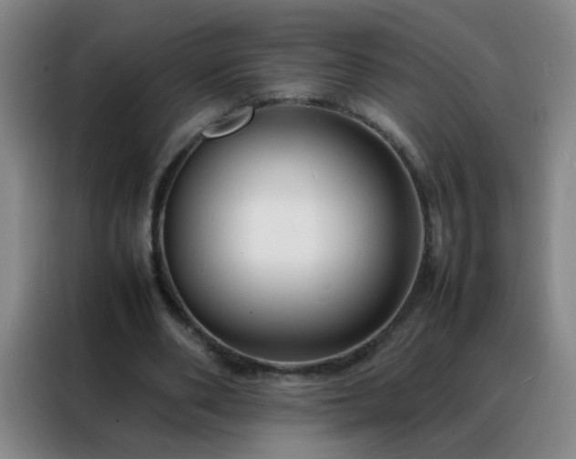 X0000088130486200705211119