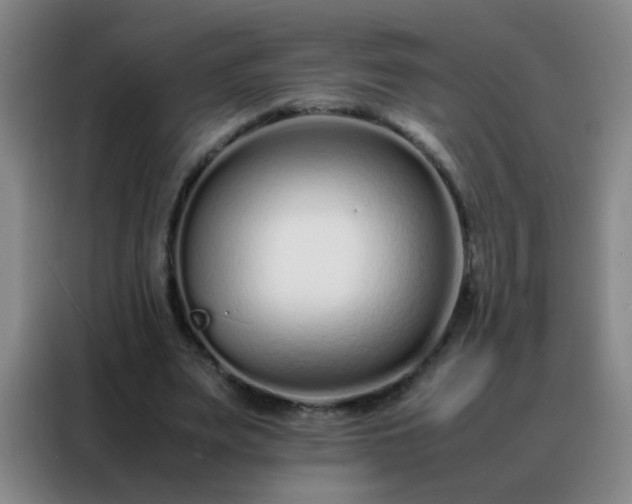 X0000088130487200705211119