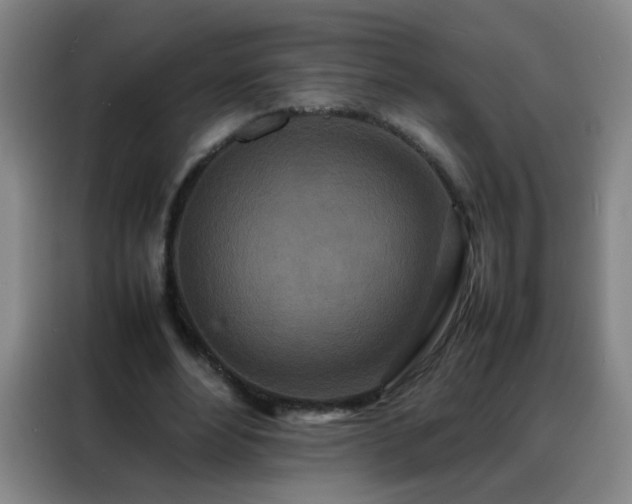 X0000088130488200705211119