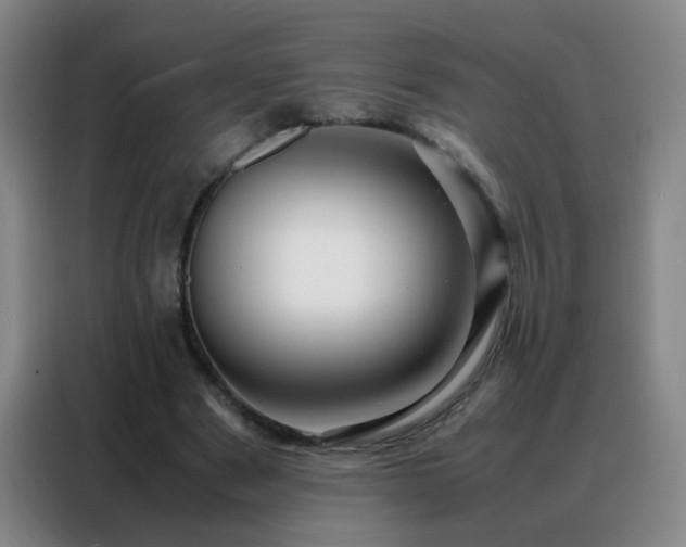 X0000088130489200705211118