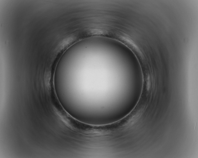 X0000088130490200705211118