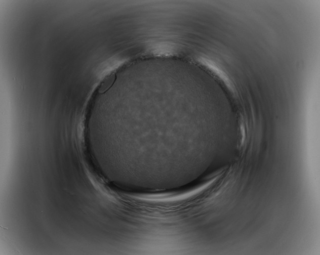 X0000088130492200705211118