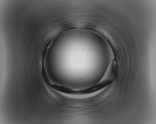 X0000088130493200705211118