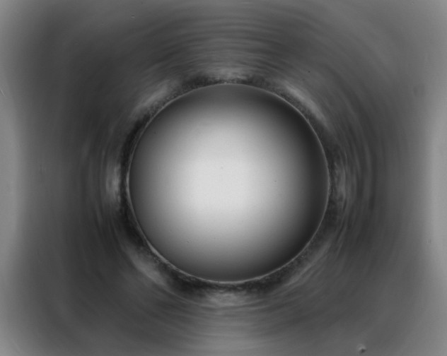 X0000088130494200705211118