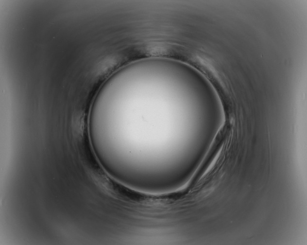 X0000088130495200705211118