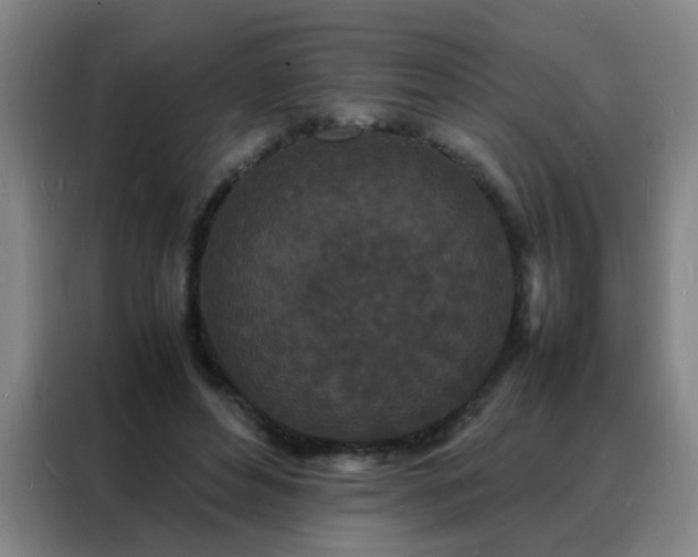 X0000088130496200705211118