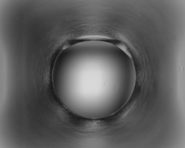 X0000088130497200705211118