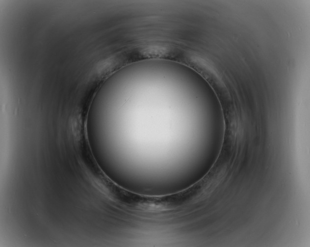 X0000088130498200705211118