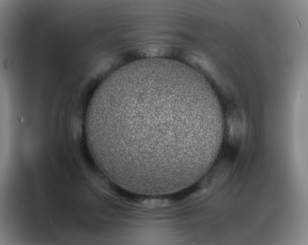 X0000088130499200705211118