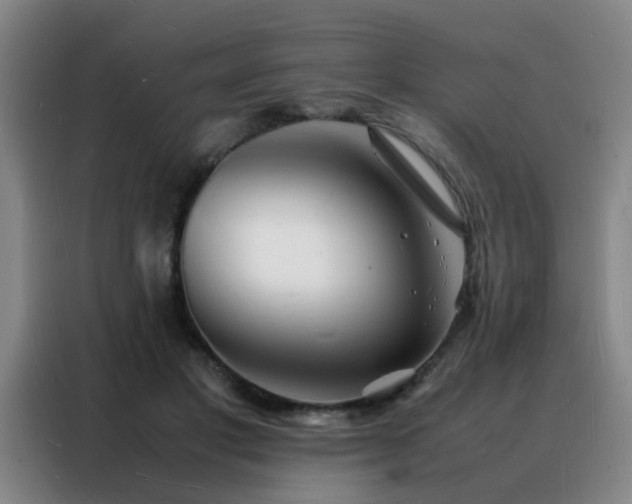 X0000088130501200705211118