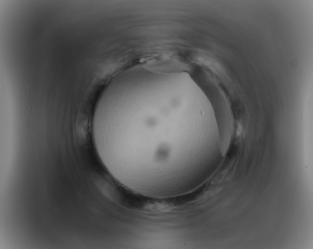 X0000088130503200705211118