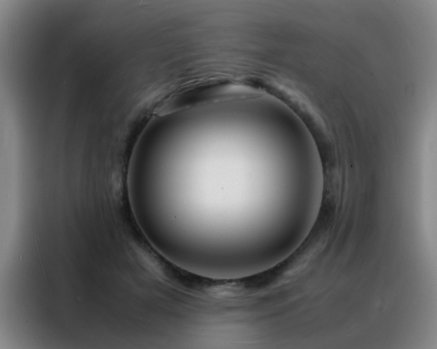 X0000088130505200705211118