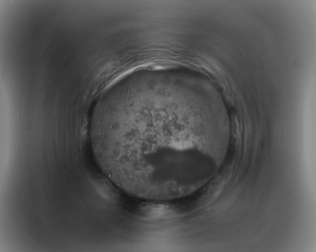 X0000088130507200705211118