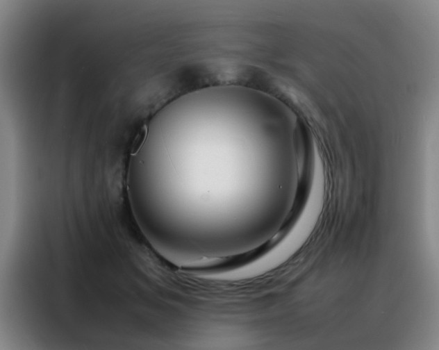 X0000088130509200705211118