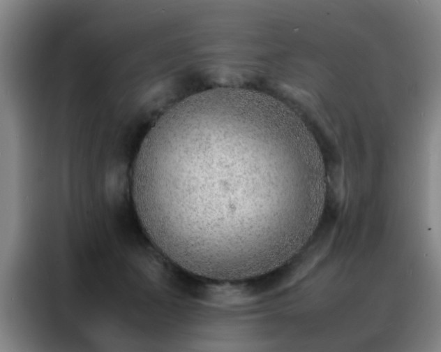 X0000088130511200705211118