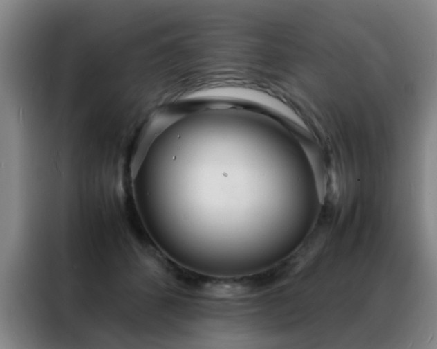 X0000088130512200705211118