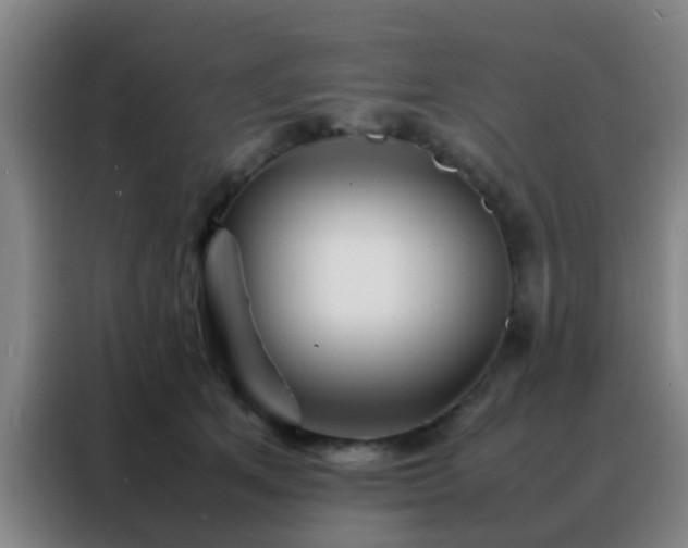 X0000088130513200705211118